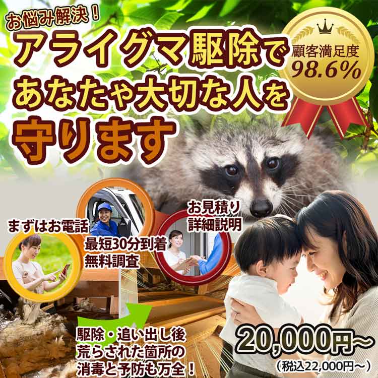 武蔵嵐山駅周辺のアライグマのお悩み、お任せください！